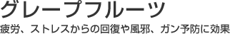 O[vt[c@JAXgX̉񕜂 ׁAK\hɌ