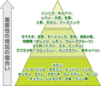 ガンを予防する食材 がんと漢方に関する情報サイト